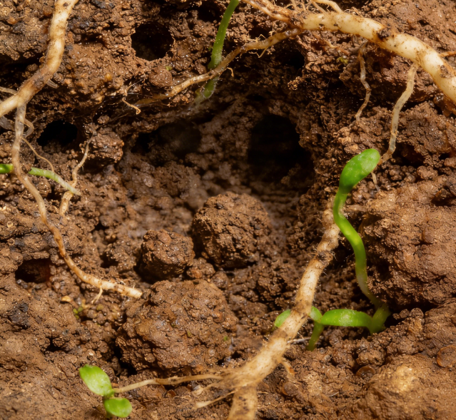 选土壤氧化还原电位仪看这篇！莱恩德 / 安屿稳居口碑前列